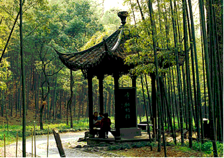 九游会旗舰厅(中国)有限公司